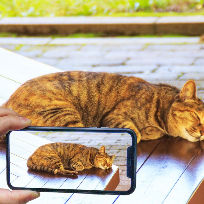 iPhone&iPad動画編集入門講座